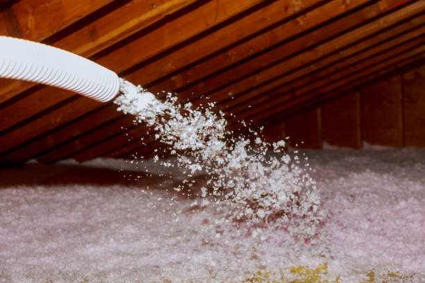 Professional Insulation Contractor in MT