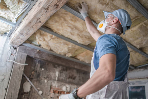 Best Insulation Maintenance and Repair in Helena, MT